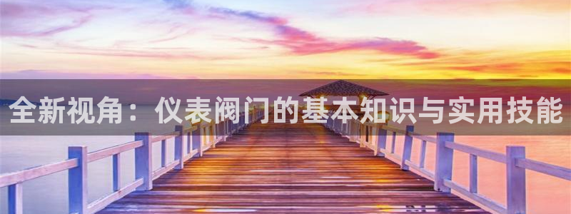 新宝给gg