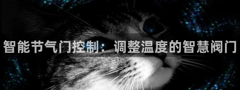 新宝gg手机app