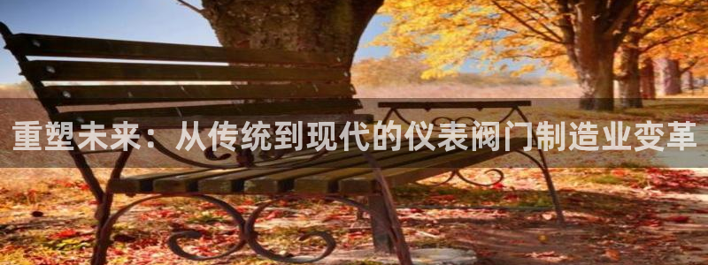 新宝GG反点